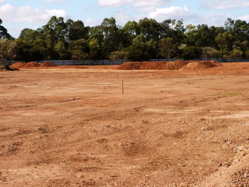 land clearing