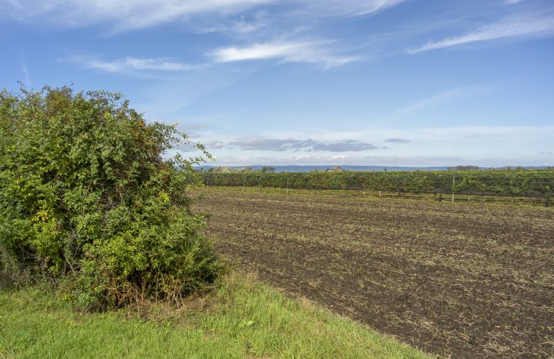 land clearing