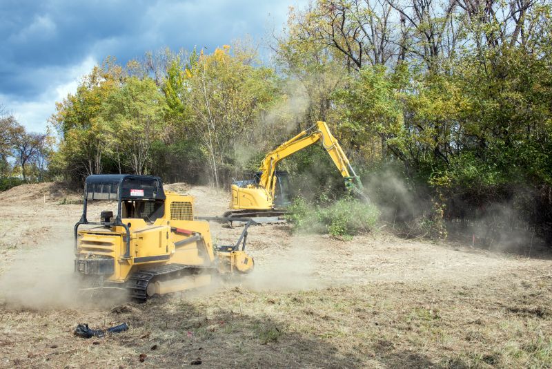 Large-Scale Land Clearing Project