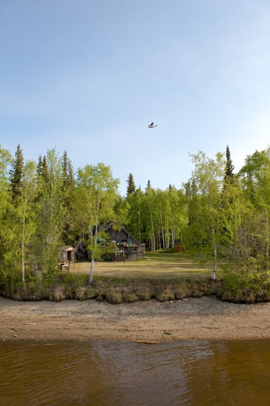 Post-Clearing Cleanup