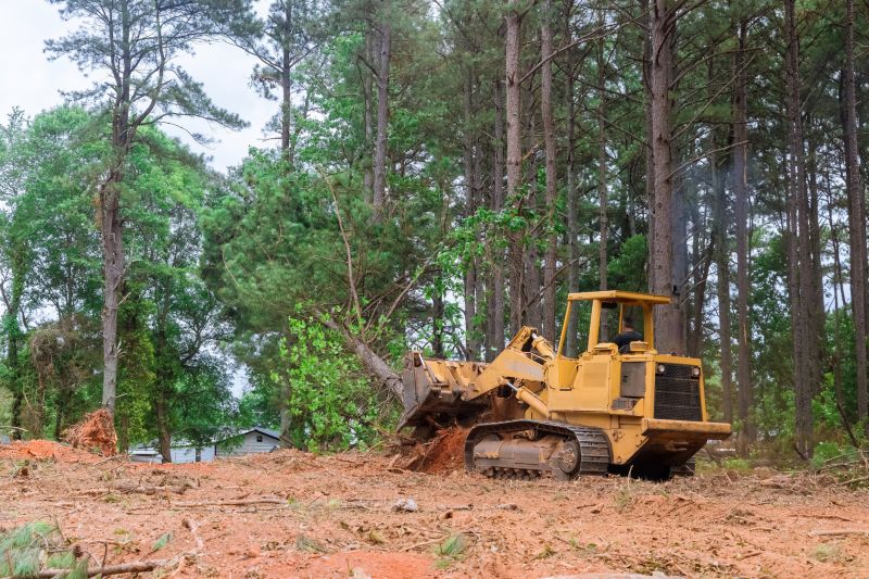 Professional Land Clearing Contractors